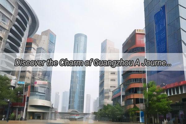 Discover the Charm of Guangzhou A Journey into the Traditional Stroller Culture